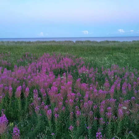 Charming Retreat In Marielyst - By Traum Bøtø By